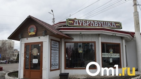 Владелица снесённой «Дубравушки» не хочет платить за демонтаж и судится с омской мэрией