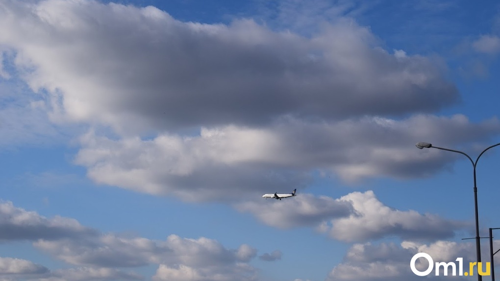 Омичка, муж которой погиб в самолете, может отсудить у авиакомпании 10 годовых зарплат