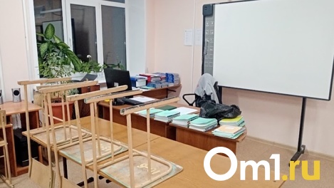«Предлагал научить меня плохому»: дети пожаловались на физрука из Омской области