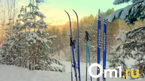 В Омской области назвали количество участников Лыжни России