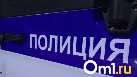 Омичка вынесла из пункта выдачи товаров на 50 тысяч рублей