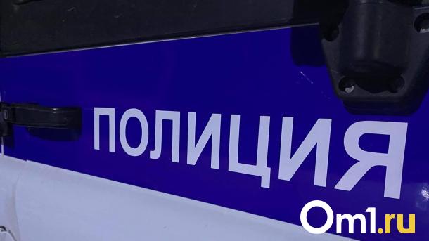 Омичка вынесла из пункта выдачи товаров на 50 тысяч рублей