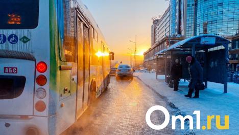 В Омске на Жукова может появиться новая остановка