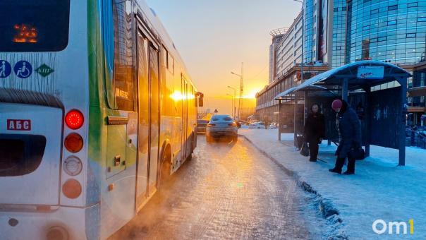 В Омске на Жукова может появиться новая остановка