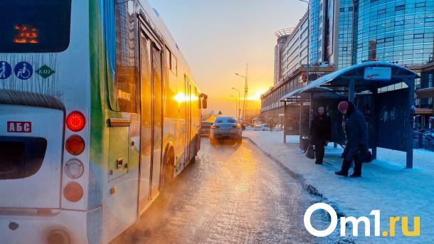 В Омске на Жукова может появиться новая остановка