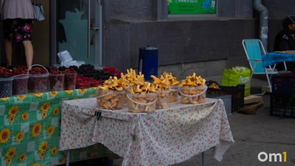 В Омске начали собирать подберёзовики на месяц раньше