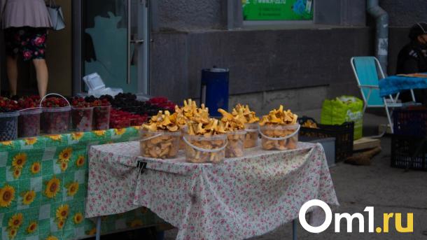 В Омске начали собирать подберёзовики на месяц раньше
