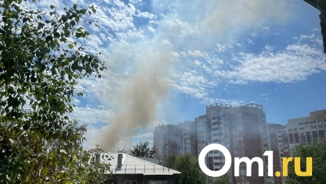 За месяц в Омске не случилось превышений ПДК выбросов, но уровень загрязнения воздуха всё равно был высок