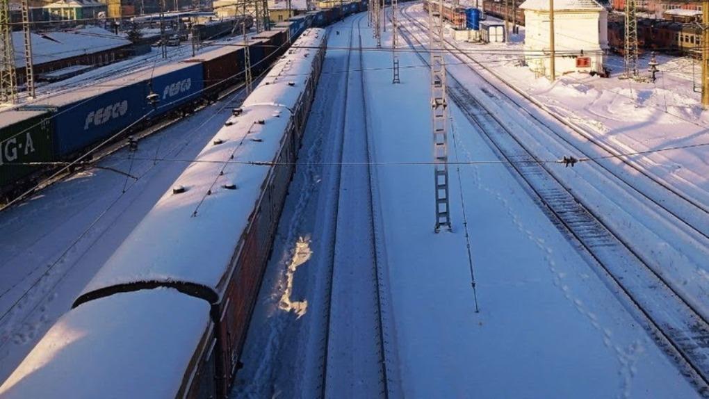 Железнодорожники в Новосибирской области спасли девочку, которую покусала бродячая собака