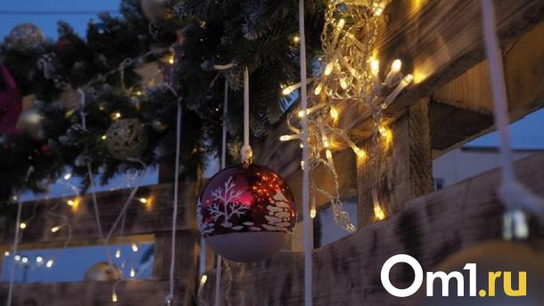 Омичей приглашают отметить старый Новый год в парке