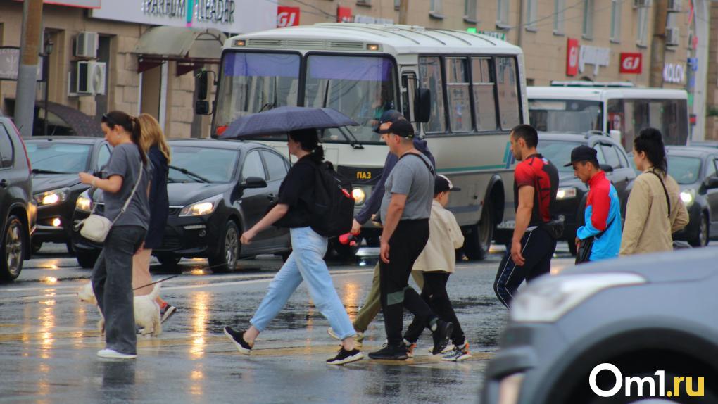 Рабочая неделя в Омске начнётся с сильных дождей и гроз