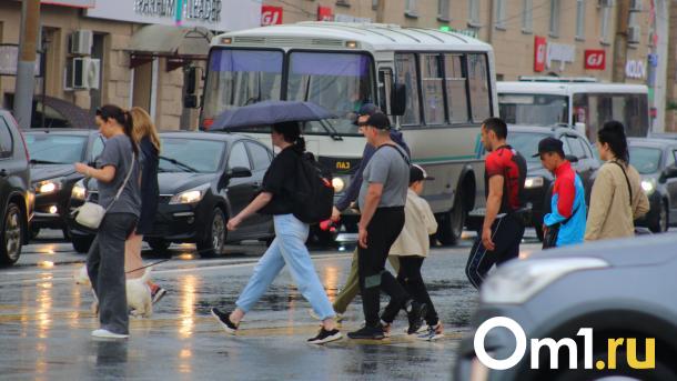 Рабочая неделя в Омске начнётся с сильных дождей и гроз