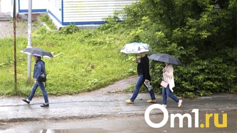 Мощные грозы ожидаются в Новосибирске