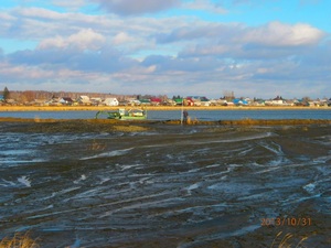 Минприроды Омской области решило «вбухать» 42 млн рублей в очистку озера