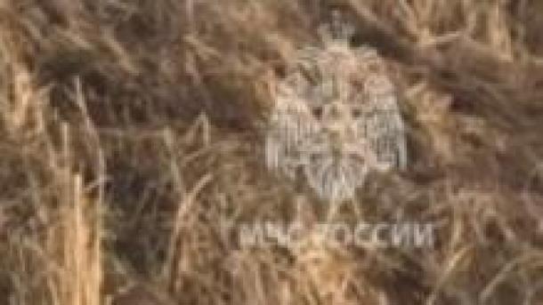 МЧС объявило экстренное предупреждение из-за засухи в Новосибирской области