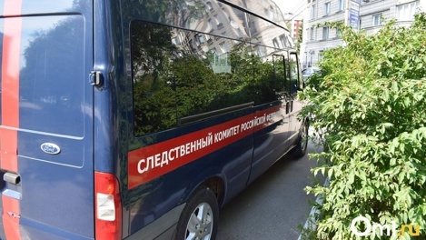 Глава СК РФ Бастрыкин взял на контроль дело о гибели 5-летней девочки на самокате в Новосибирске