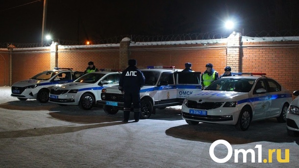 Сбил и скрылся: омские полицейские ищут водителя, насмерть задавившего пешехода