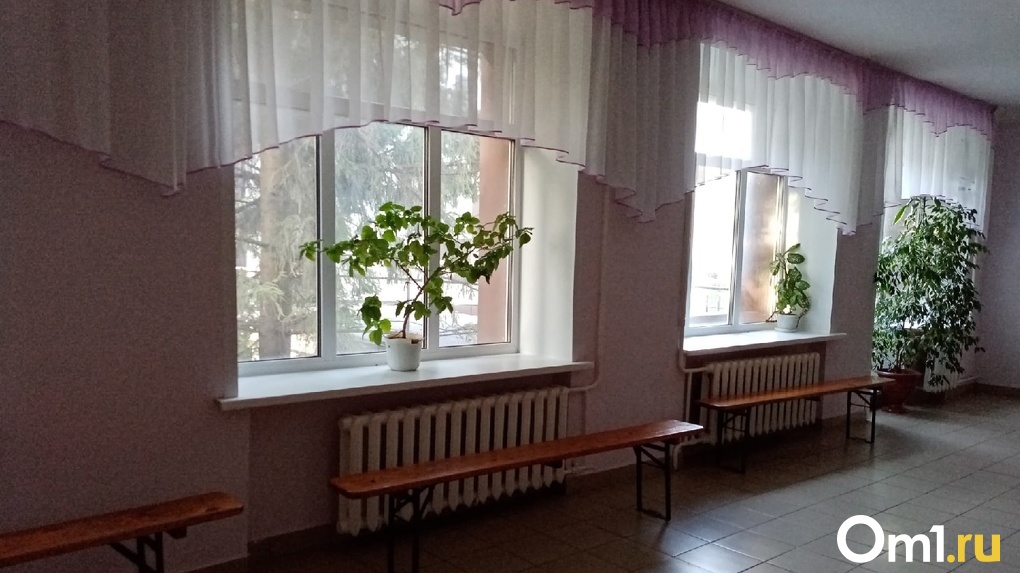 В Омске 10-летняя девочка попала в больницу после падения из окна в школе