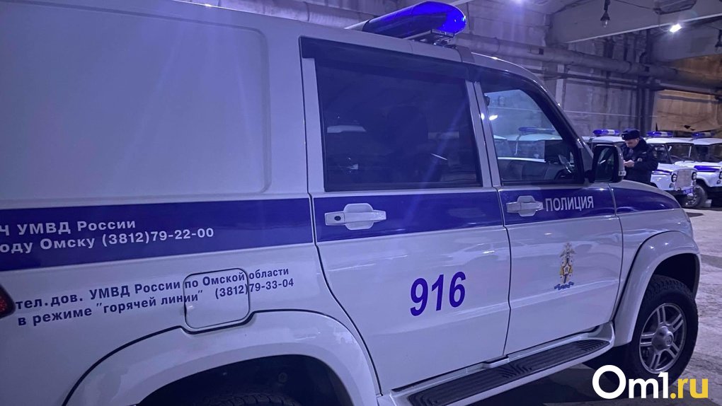 Омская полиция ищет мужчину, который в районе Телезавода похитил велосипед и дорогой телефон