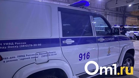 Омская полиция ищет мужчину, который в районе Телезавода похитил велосипед и дорогой телефон