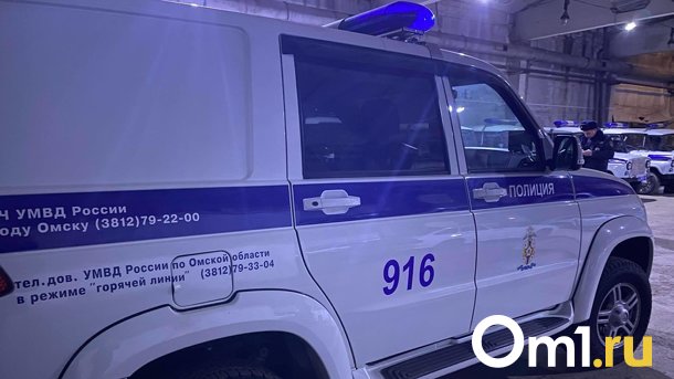 Омская полиция ищет мужчину, который в районе Телезавода похитил велосипед и дорогой телефон