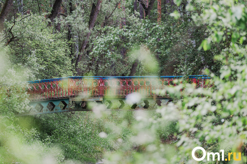 Изображение фоторепортажа