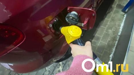 Бензин и дизельное топливо стали дешевле в Новосибирской области