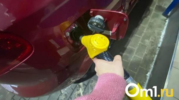 Бензин и дизельное топливо стали дешевле в Новосибирской области