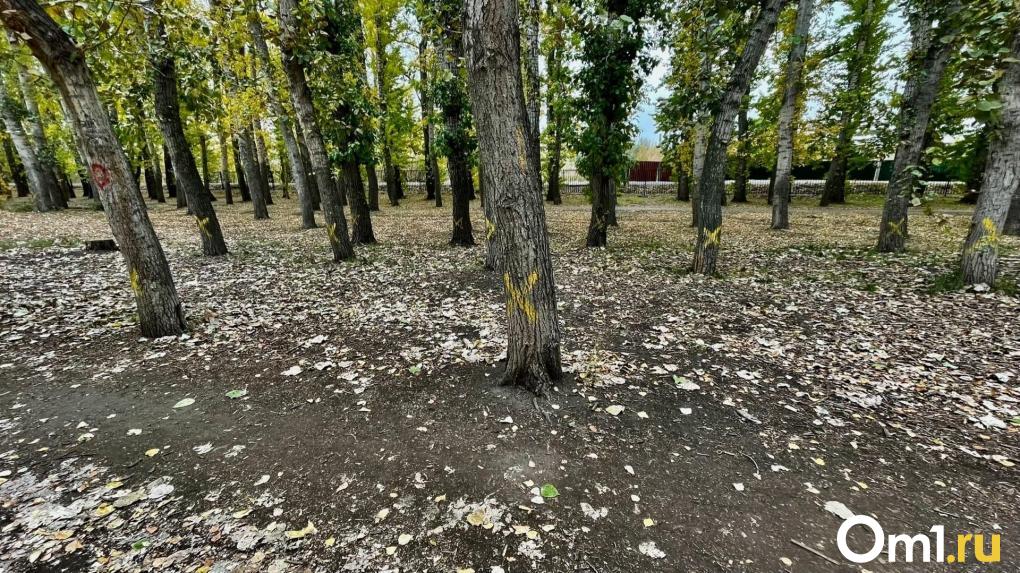В омском парке на месте деревьев хотят построить новый ТЦ