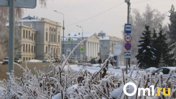 Туманы и морозы: омичей ждут изменения погоды в середине марта