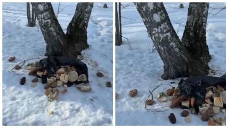 Парк в новосибирском Кольцово закидали просрочкой