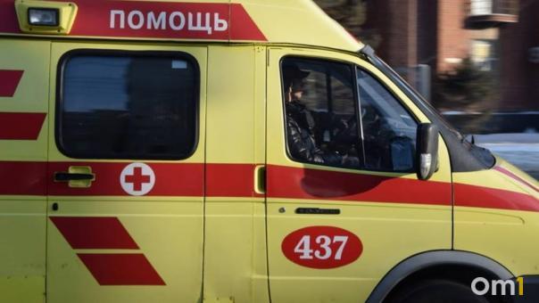 В Карелии пациентку с инсультом везли на санях несколько километров