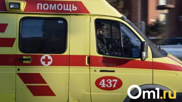 В Карелии пациентку с инсультом везли на санях несколько километров