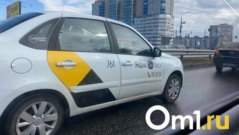 В Омск на такси из Екатеринбурга пытались провести крупную партию наркотиков