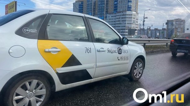 В Омск на такси из Екатеринбурга пытались провести крупную партию наркотиков