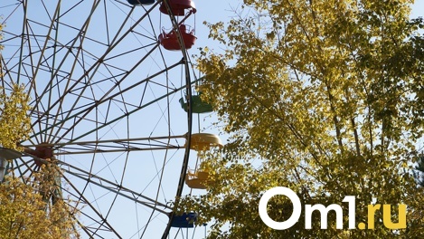 Стрельба по морским животным. В Омске скоро заработает новый аттракцион за 9 миллионов рублей