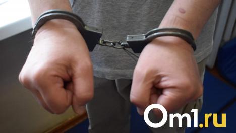 Омичка требует наказать мужчину, нарисовавшего на машине снежную свастику