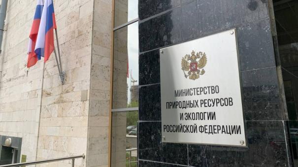 В Минприроды РФ позволят умерщвлять краснокнижных животных