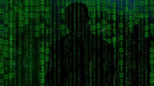 «Продавец воздуха»: омич нажился на россиянах, желающих заняться спортом