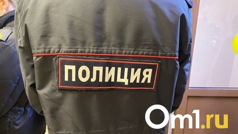 Им займётся полиция. Омич ответит за то, что скинул собственную собаку с 10-го этажа