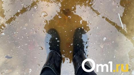 Губернатор Хоценко оценил ситуацию с паводком в Усть-Ишимском районе