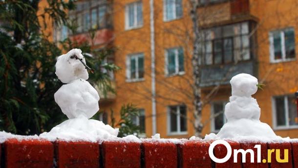 Опубликован прогноз погоды в Омске на праздничные выходные