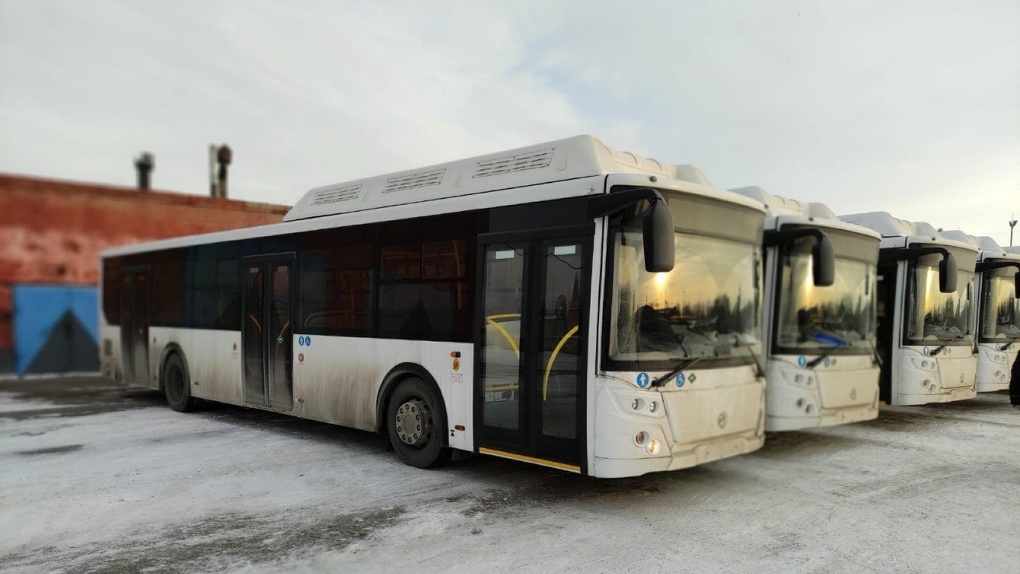 В Омск привезли 20 новых экологичных автобусов. Стало известно, когда они выйдут на маршруты