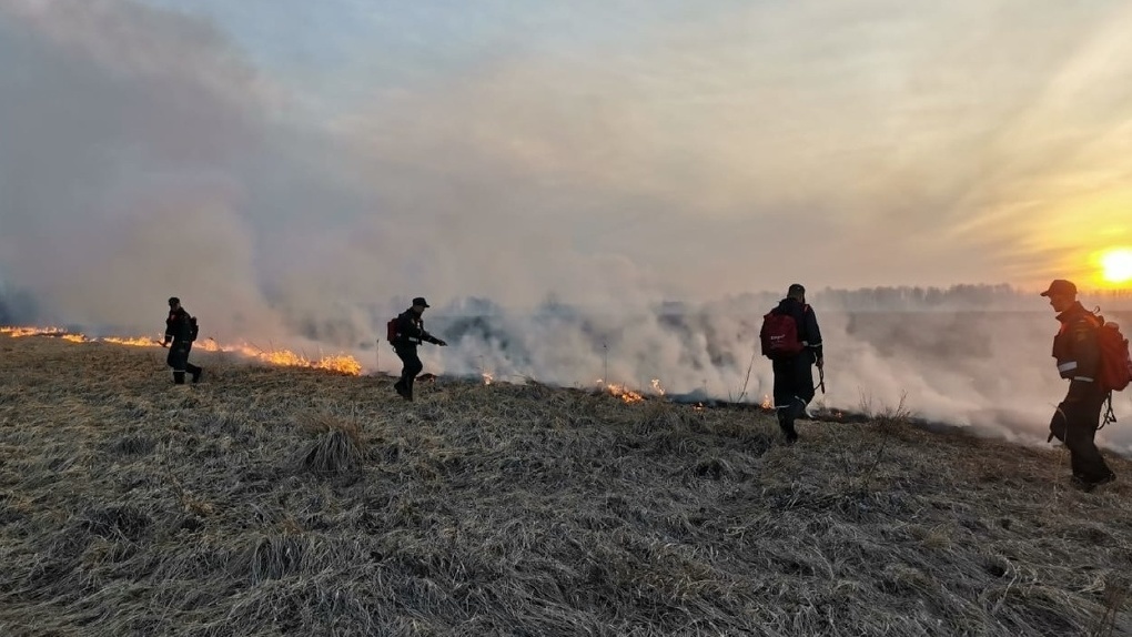 Регион в огне: ещё 250 аномальных термических точек зафиксировали в Новосибирской области