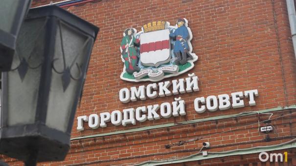 Депутаты Анна Степаненко и Наталья Астапчик вышли из нескольких комитетов Омского горсовета