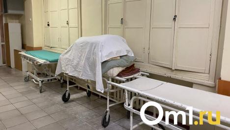В Омске зафиксировали случай лихорадки Денге