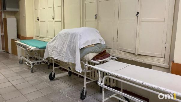 В Омске зафиксировали случай лихорадки Денге