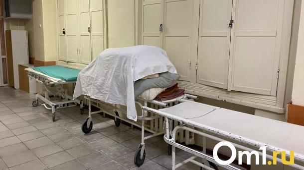 В Омске зафиксировали случай лихорадки Денге