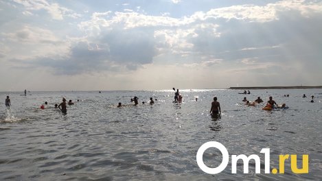 Жара до +32 градусов вернётся в Новосибирскую область на этой неделе