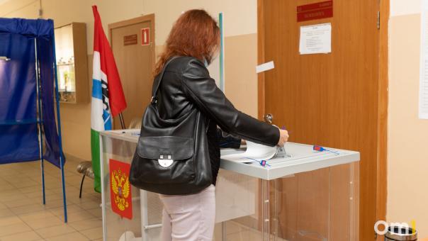 Прогресс или фальсификация? Новосибирские эксперты высказались об эффективности электронного голосования